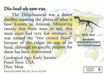 1993 Redstone Dinosaurs Mesozoic Era #5 Dilophosaurus Back