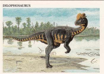 1993 Redstone Dinosaurs Mesozoic Era #5 Dilophosaurus Front