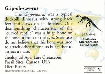 1993 Redstone Dinosaurs Mesozoic Era #9 Gryposaurus Back