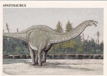 1993 Redstone Dinosaurs Mesozoic Era #10 Apatosaurus Front