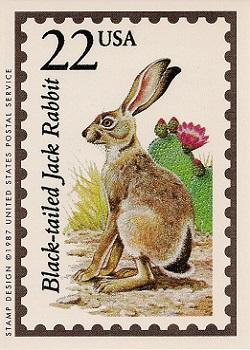 1991 Bon Air Wildlife America #4 Black-tailed Jack Rabbit Front