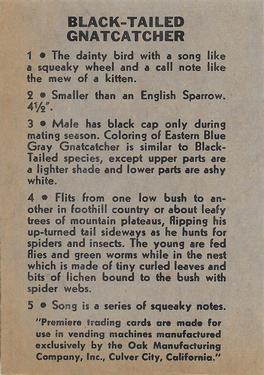 1958 Oak Manufacturing Birds #NNO Black-Tailed Gnatcatcher Back