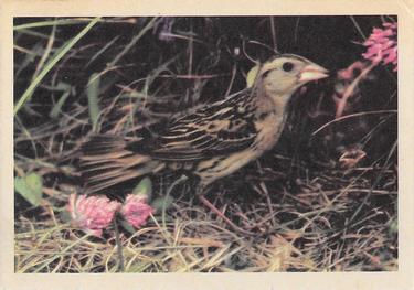 1958 Oak Manufacturing Birds #NNO Bobolink Front