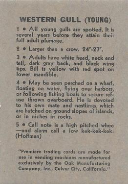 1958 Oak Manufacturing Birds #NNO Western Gull Back