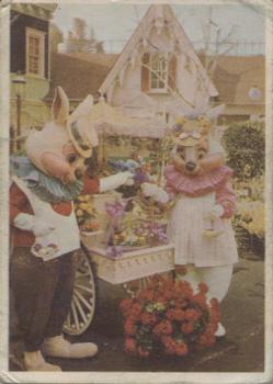 1965 Donruss Disneyland (Blue Back) #28 White Rabbit and Mrs. Rabbit on an Egg Hunt During Disneyland Easter Season Front