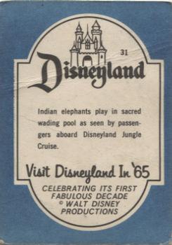 1965 Donruss Disneyland (Blue Back) #31 Indian Elephants Play in Sacred Wading Pool as Seen by Passengers Aboard Disneyland Jungle Cruise Back