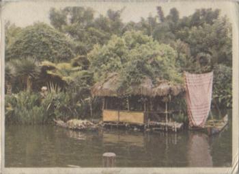 1965 Donruss Disneyland (Blue Back) #38 Brightly Canopied Launches Carry Passengers Past Native Hut in the Jungle Cruise at Disneyland Front