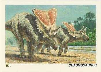 1992 DinoCardz #52 Chasmosaurus Front