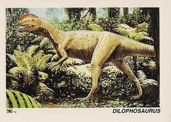 1992 DinoCardz #4 Dilophosaurus Front