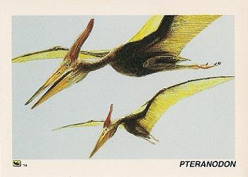 1992 DinoCardz #6 Pteranodon Front