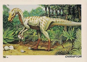 1992 DinoCardz #13 Oviraptor Front