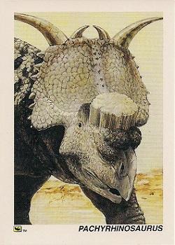 1992 DinoCardz #15 Pachyrhinosaurus Front