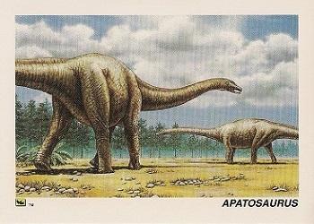 1992 DinoCardz #35 Apatosaurus Front