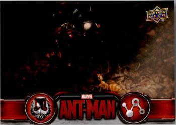 2015 Upper Deck Marvel Ant-Man #55 Ant-Man finds a crazy ant in the tunnels. Front