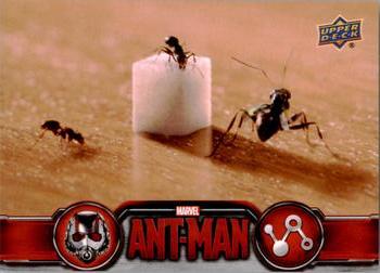 2015 Upper Deck Marvel Ant-Man #59 Ant-Man tries to command the ants... Front