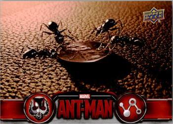 2015 Upper Deck Marvel Ant-Man #60 After Scott connects with Hope... Front