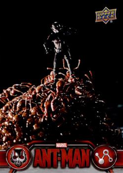 2015 Upper Deck Marvel Ant-Man #69 The army of ants arranges itself into a raft... Front