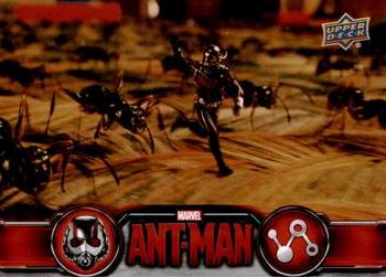 2015 Upper Deck Marvel Ant-Man #84 Ant-Man leads his army into Cassie's bedroom... Front