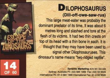 1993 Dynamic Marketing Escape of the Dinosaurs #14 Dilophosaurus Back