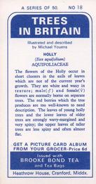 1966 Brooke Bond Trees In Britain #18 Holly Back