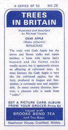 1966 Brooke Bond Trees In Britain #28 Crab Apple Back