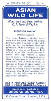 1962 Brooke Bond Asian Wild Life #4 Proboscis Monkey Back