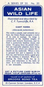 1962 Brooke Bond Asian Wild Life #20 Giant Panda Back