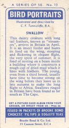 1957 Brooke Bond Bird Portraits  #19 Swallow Back