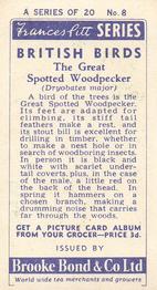 1954 Brooke Bond British Birds #8 Great Spotted Woodpecker Back