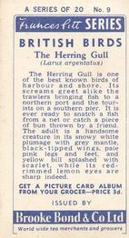 1954 Brooke Bond British Birds #9 Herring Gull Back