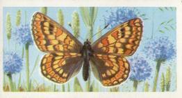 1973 Brooke Bond British Butterflies #16 Marsh Fritillary Front