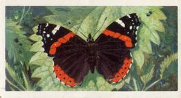1973 Brooke Bond British Butterflies #19 Red Admiral Front