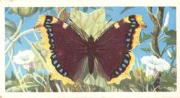 1973 Brooke Bond British Butterflies #24 Camberwell Beauty Front