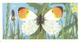 1973 Brooke Bond British Butterflies #43 Orange Tip Front