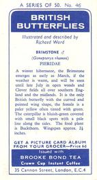 1963 Brooke Bond British Butterflies #46 Brimstone Back