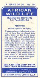 1962 Brooke Bond African Wild Life #19 Porcupine Back