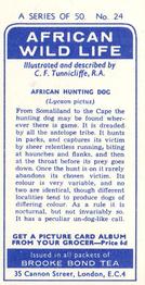 1962 Brooke Bond African Wild Life #24 African Hunting Dog Back