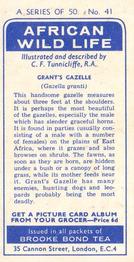 1962 Brooke Bond African Wild Life #41 Grant's Gazelle Back
