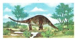 1972 Brooke Bond Prehistoric Animals #11 Cetiosaurus Front