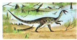 1972 Brooke Bond Prehistoric Animals #13 Coelophysis Front