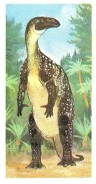 1972 Brooke Bond Prehistoric Animals #22 Iguanodon Front