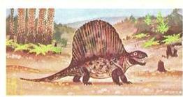 1972 Brooke Bond Prehistoric Animals #36 Dimetrodon Front