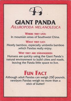 1993 Burger King Kids Club Save the Animals #8 Giant Panda Back