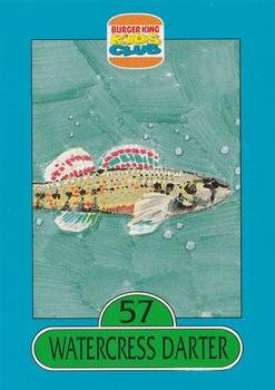 Burger King Kids Club Save The Animals Album 4 Fish Ocean Life Trading Cards 