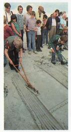 1989 Brooke Bond Discovering Our Coast #6 The Boy Ploughmen of St Margaret's Hope Front