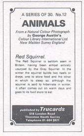 1970 Trucards Animals #12 Red Squirrel Back