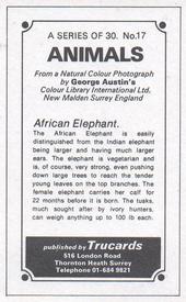 1970 Trucards Animals #17 African Elephant Back