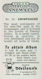 1954 Neilson's Interesting Animals #10 Chimpanzee Back