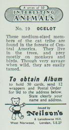 1954 Neilson's Interesting Animals #19 Ocelot Back