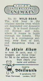 1954 Neilson's Interesting Animals #30 Wild Boar Back